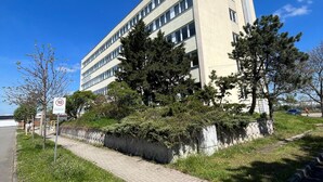 Uklassifisert bilde, 4 av 6, knapp