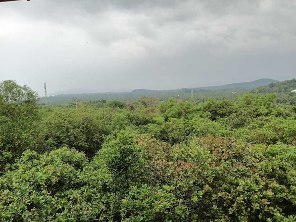 A dense forested area with a distant view of hills and a cloudy sky. - Hill View Paradise (Gokarna)