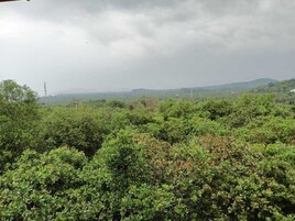 Vistas desde el alojamiento