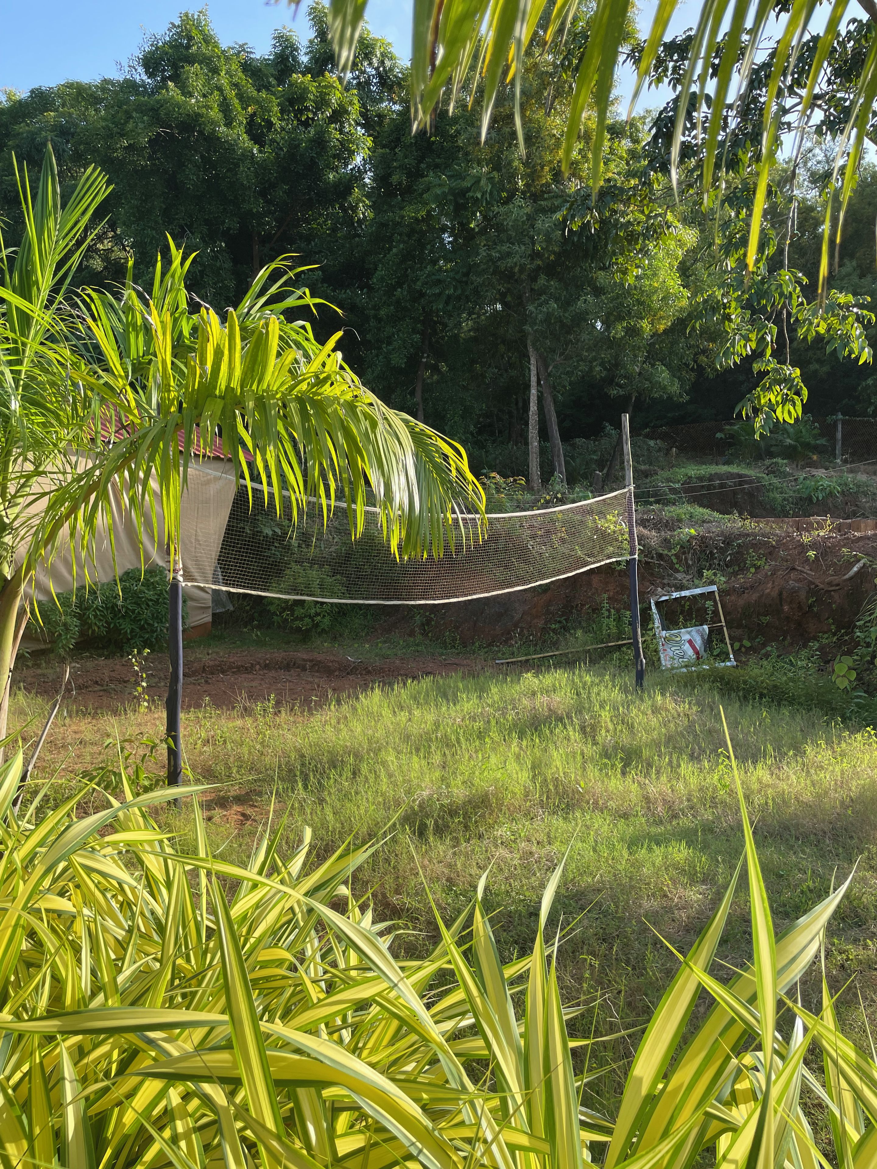 Un hamac est suspendu entre deux poteaux, dans une zone herbeuse, avec un feuillage dense en arrière-plan.