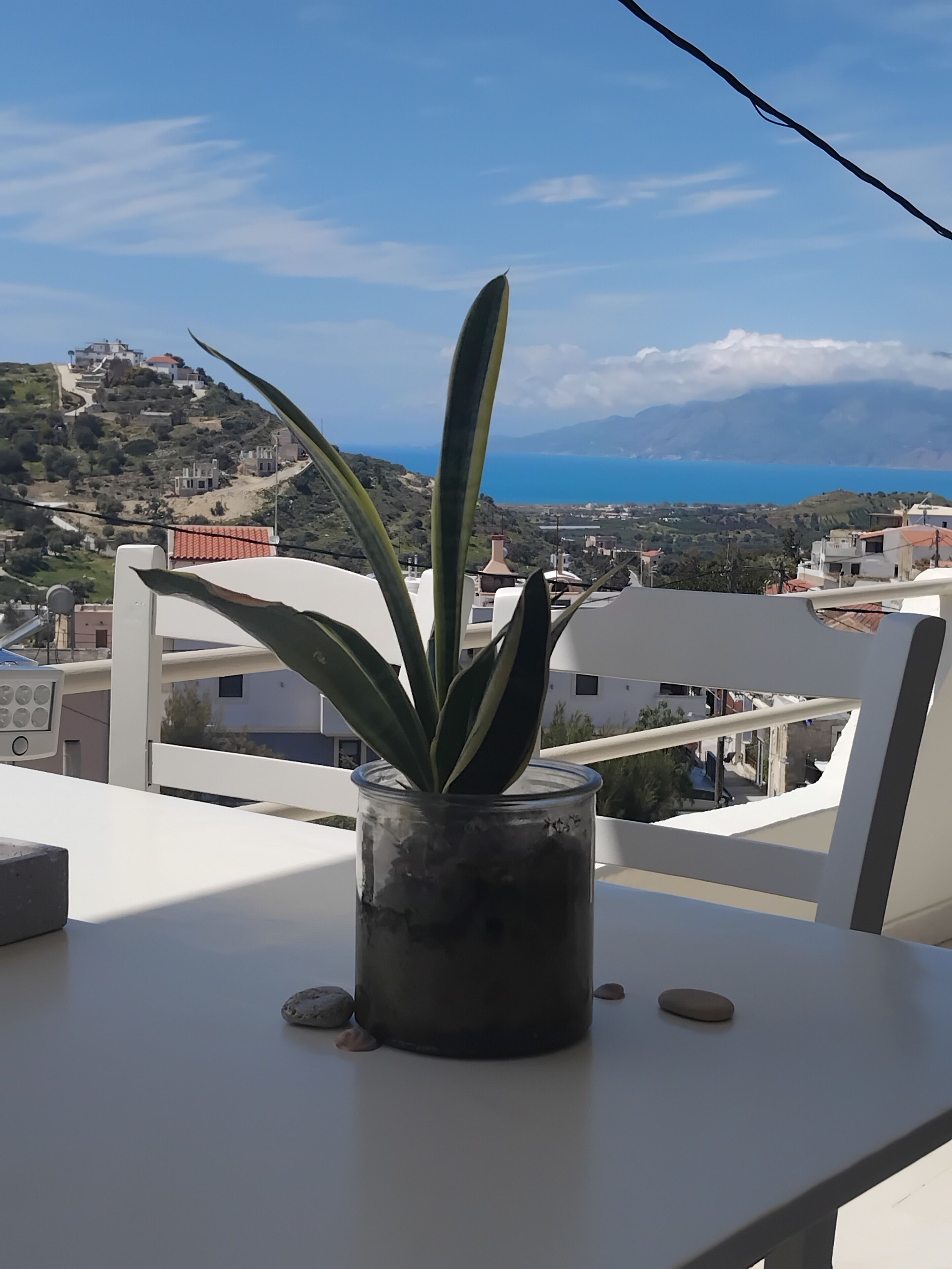 Àrea exterior de l'allotjament