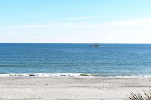 Ein Strand mit einem Schiff in der Ferne und blauem Himmel.
