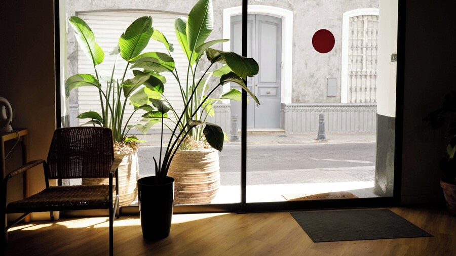 Sweet Sevilla Hostel