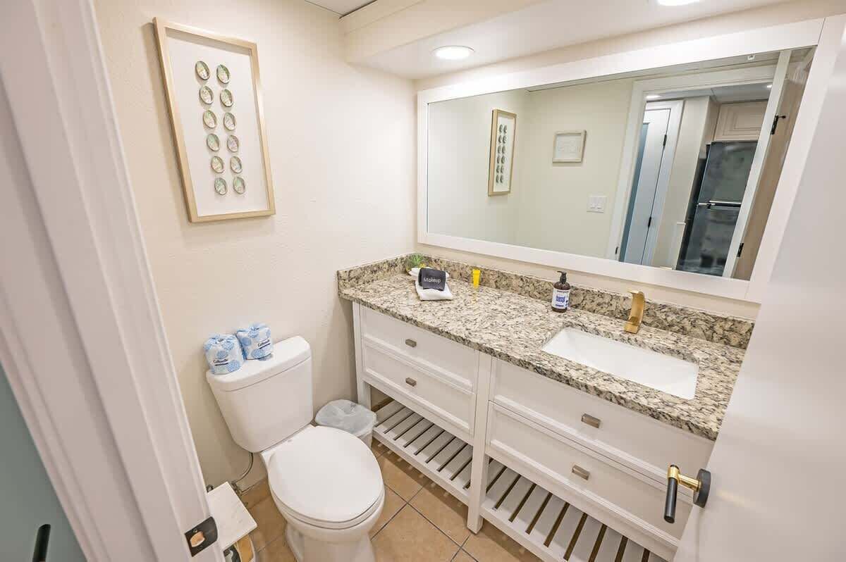A bathroom with a white toilet, a sink with a granite countertop, and a mirror above the sink.