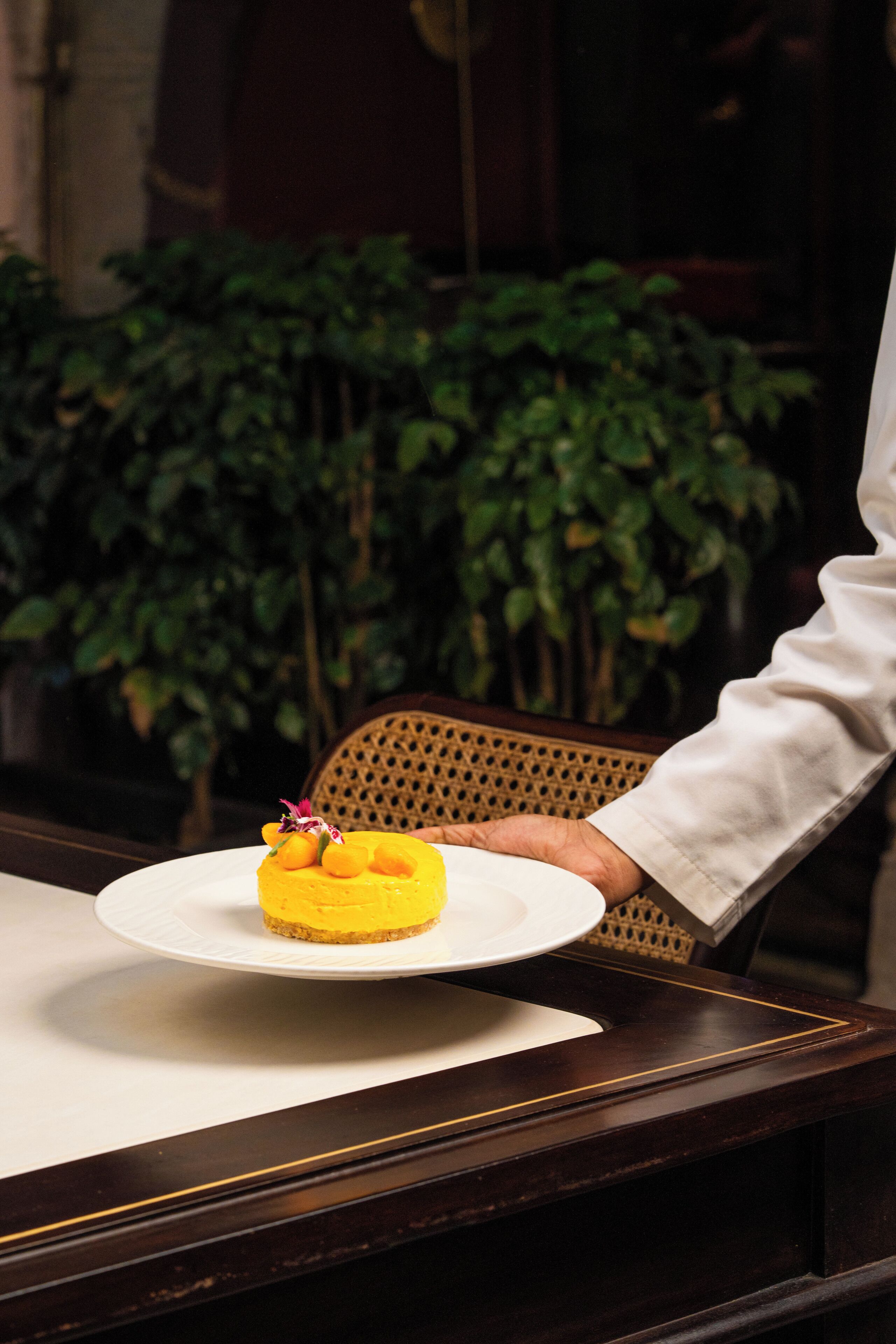 Una persona sosteniendo un postre amarillo sobre un plato blanco, con una silla de mimbre y plantas verdes al fondo.