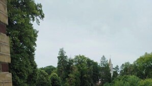 Un patio cubierto de césped con un muro de ladrillo, un pequeño arbusto y la aguja de una iglesia a lo lejos.