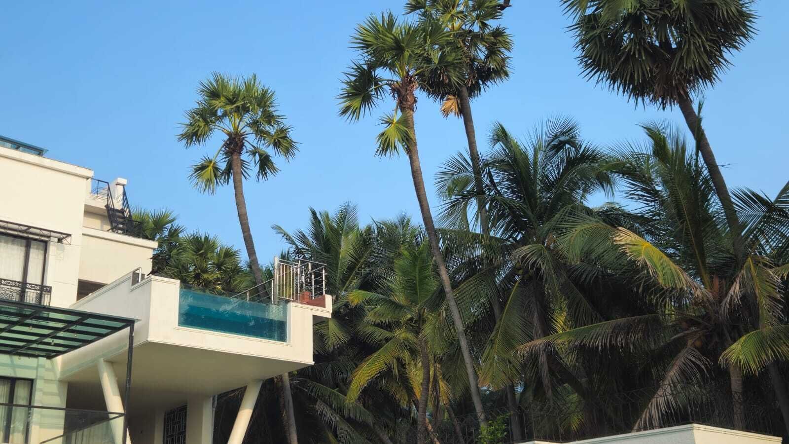 Un edificio moderno con balcón de vidrio que da a una piscina, rodeado de altas palmeras.