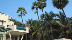 Vista desde la propiedad