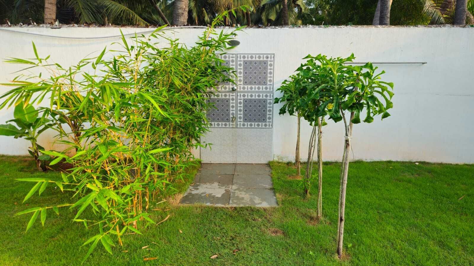 A garden with bamboo plants and a patterned wall.