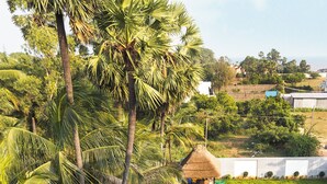 A swimming pool with a metal railing, surrounded by palm trees and a grassy area with a thatched-roof structure in the background. - The Serene Shores - Luxury Private Villa (Vanur)