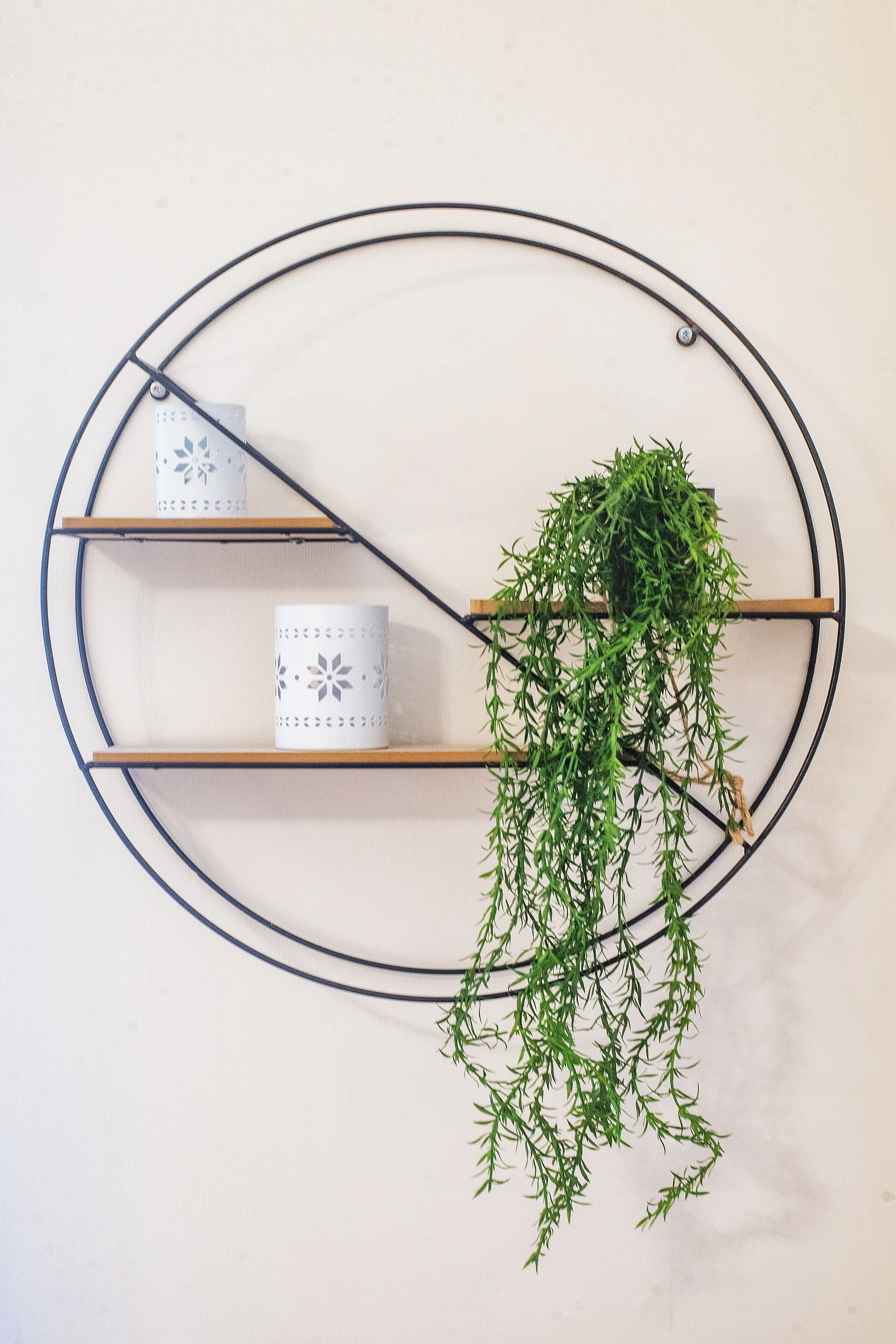 A wall-mounted shelf with two decorative containers and a hanging plant.