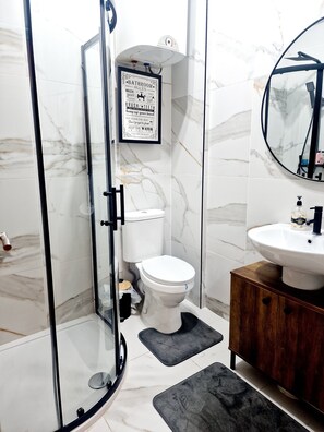 Hair dryer, towels, toilet paper