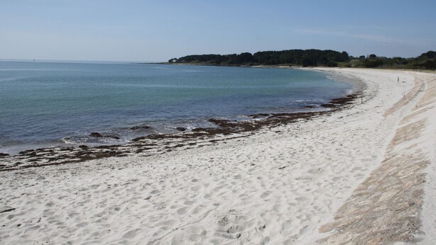 A beach with white sand, calm water, and a forested area in the background. - T3 Duplex Apartment, 4 Pers, Sarzeau Center, Balcony (Sarzeau)