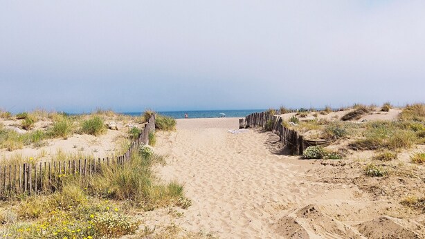 A sandy beach path leading to the sea, surrounded by dunes and sparse vegetation.
