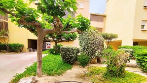 A courtyard with a tree, various shrubs, and a bench.