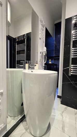 Regadera, secadora de cabello, bidet, toallas 