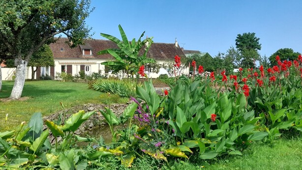 A house with a garden in front, including a banana tree and red flowers. - Charming cottage with garden, WiFi, pets welcome (Thorigné-sur-Dué)