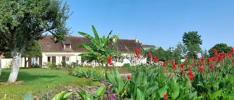 Jardines del alojamiento