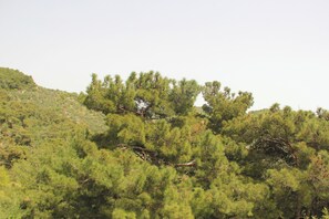 Room, Mountain View | View from room - Erguvanlı Ev (Ayvacik)