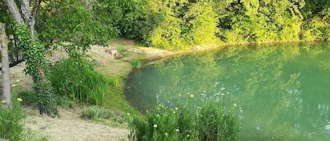Terrain de lâhĂ©bergement