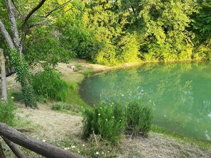 Terrein van de accommodatie