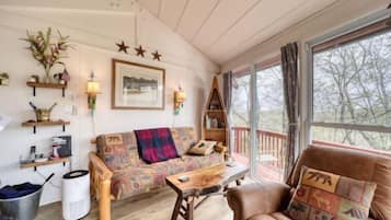 Télévision, cheminée, livres