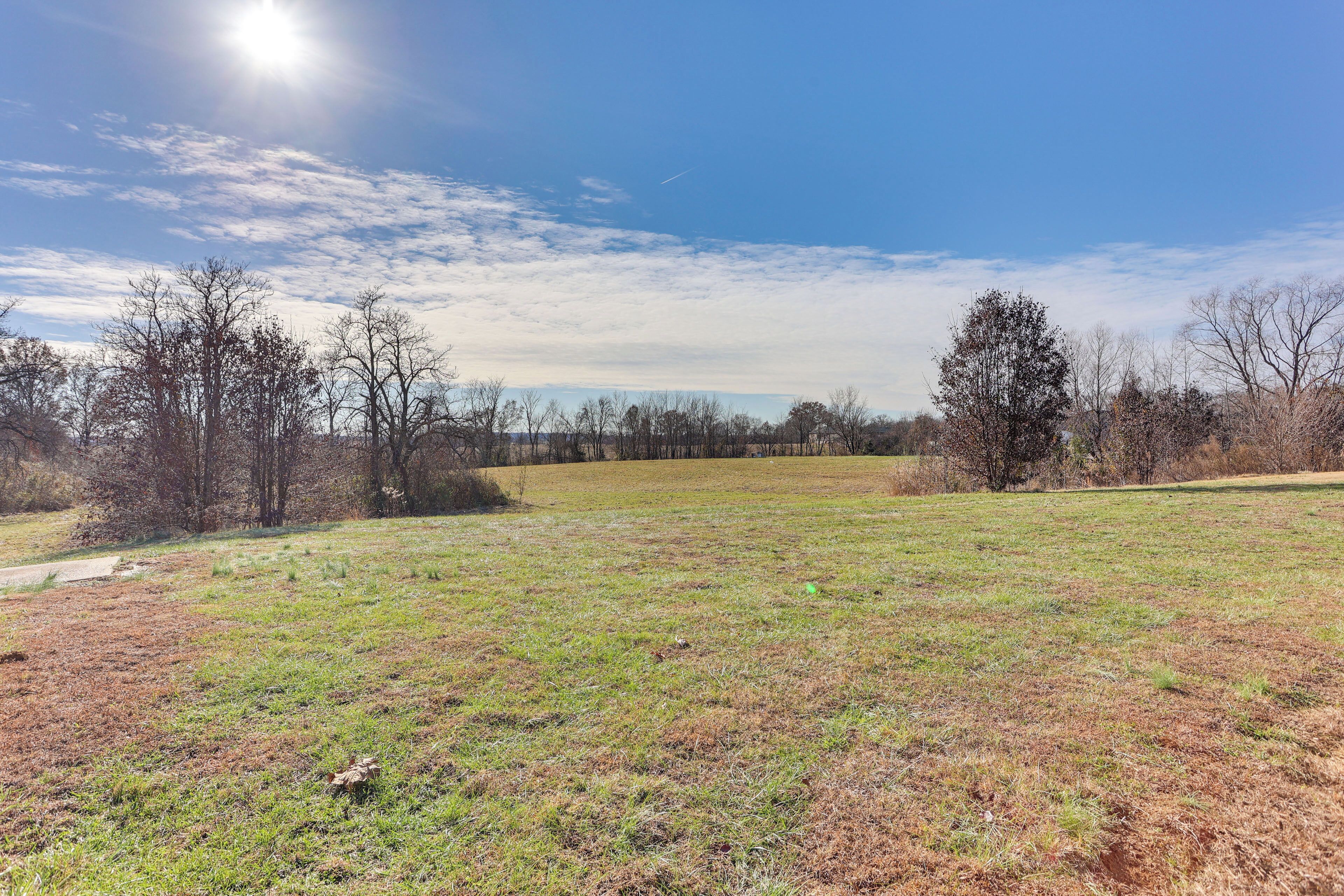 A grassy field with trees and a clear sky.