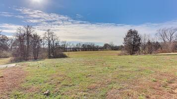A grassy field with trees and a clear sky.