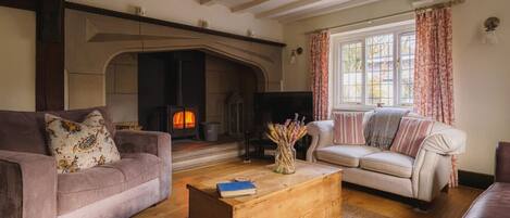 TV, fireplace