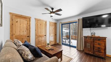 TV, fireplace, books