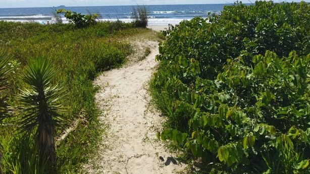 A sandy path leading to a beach with lush greenery on either side. - Pousada da Pedra do Mar (Matinhos)