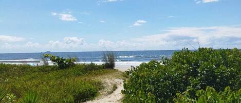 Pantai berhampiran, pasir putih