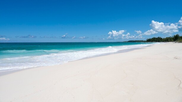Une vaste plage de sable fin bordée d’une eau turquoise et limpide, avec une ligne d’arbres qui se dessine à l’horizon sous un ciel bleu dégagé.
