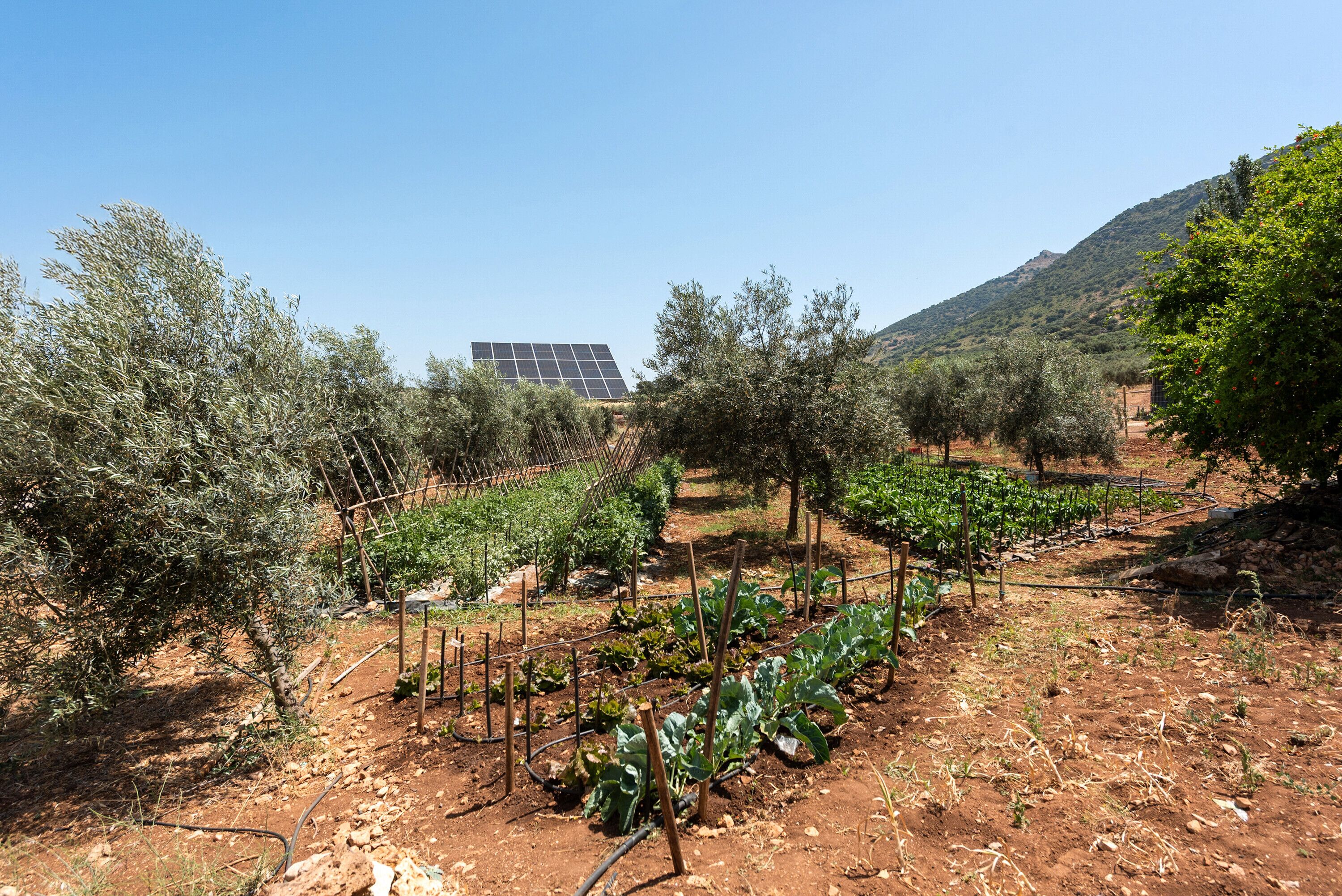 Terrein van de accommodatie