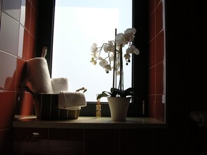 淋浴設備、風筒、提供毛巾、番梘