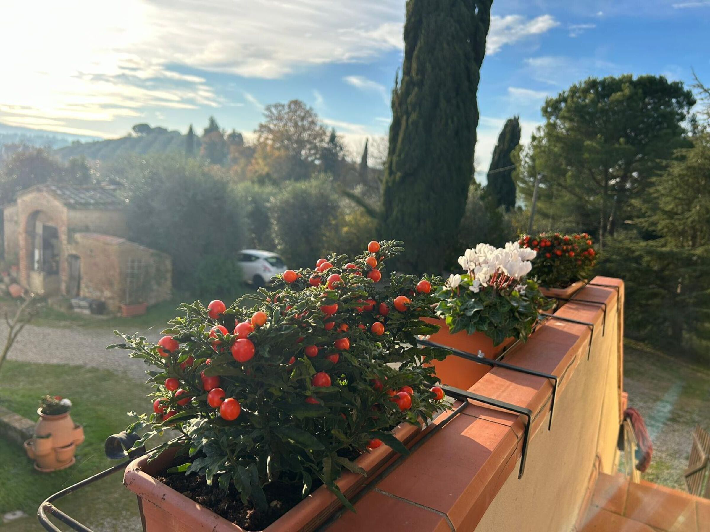 Parco della struttura