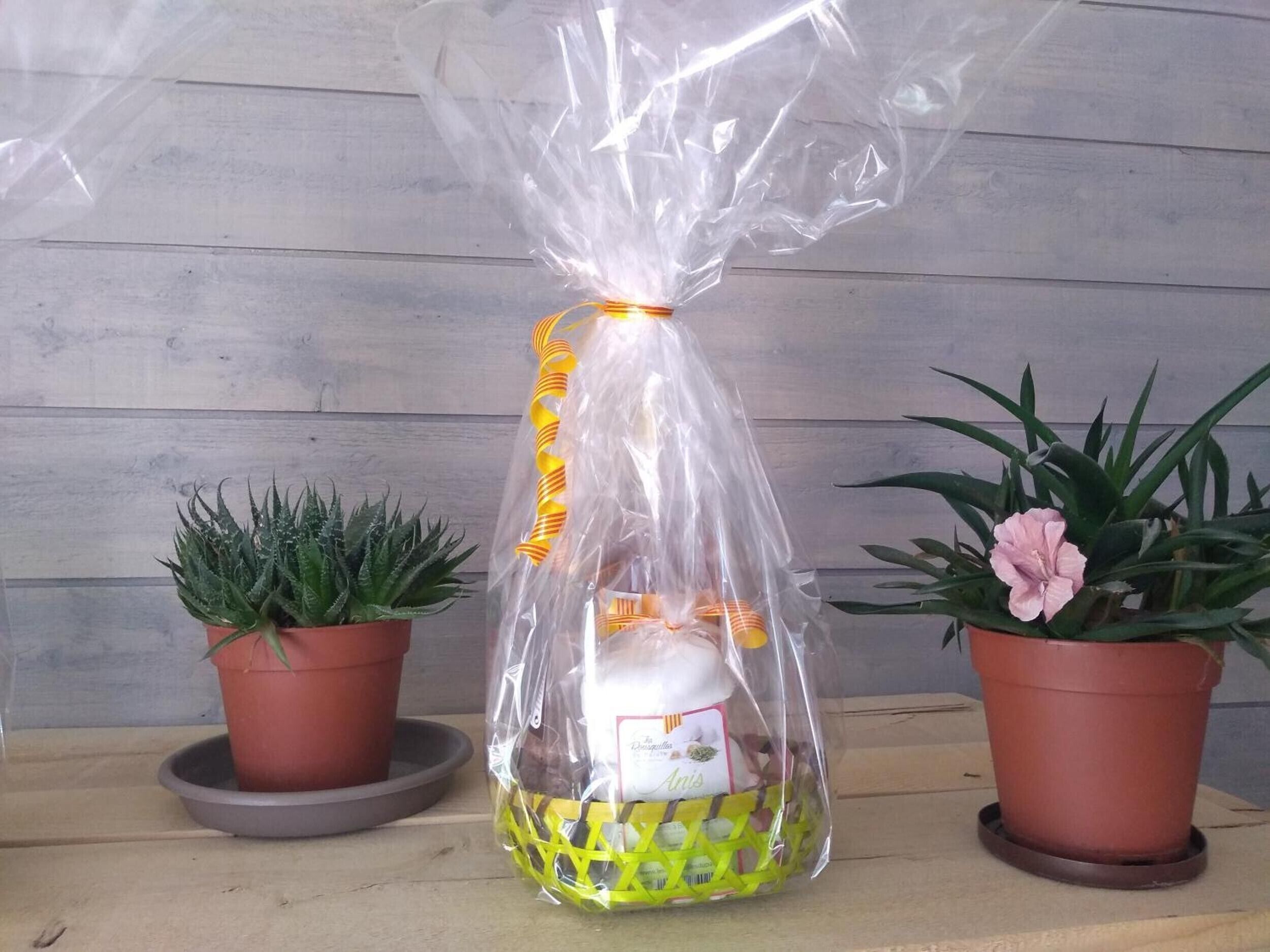 A potted plant with a yellow ribbon, a potted plant with a pink flower, and a potted plant with green leaves.