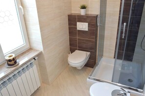 Shower, hair dryer, bidet, towels