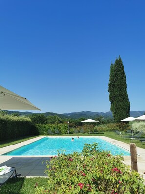 Ein rechteckiger Swimmingpool mit klarem, blauem Wasser, umgeben von Grünpflanzen und einem hohen Baum.