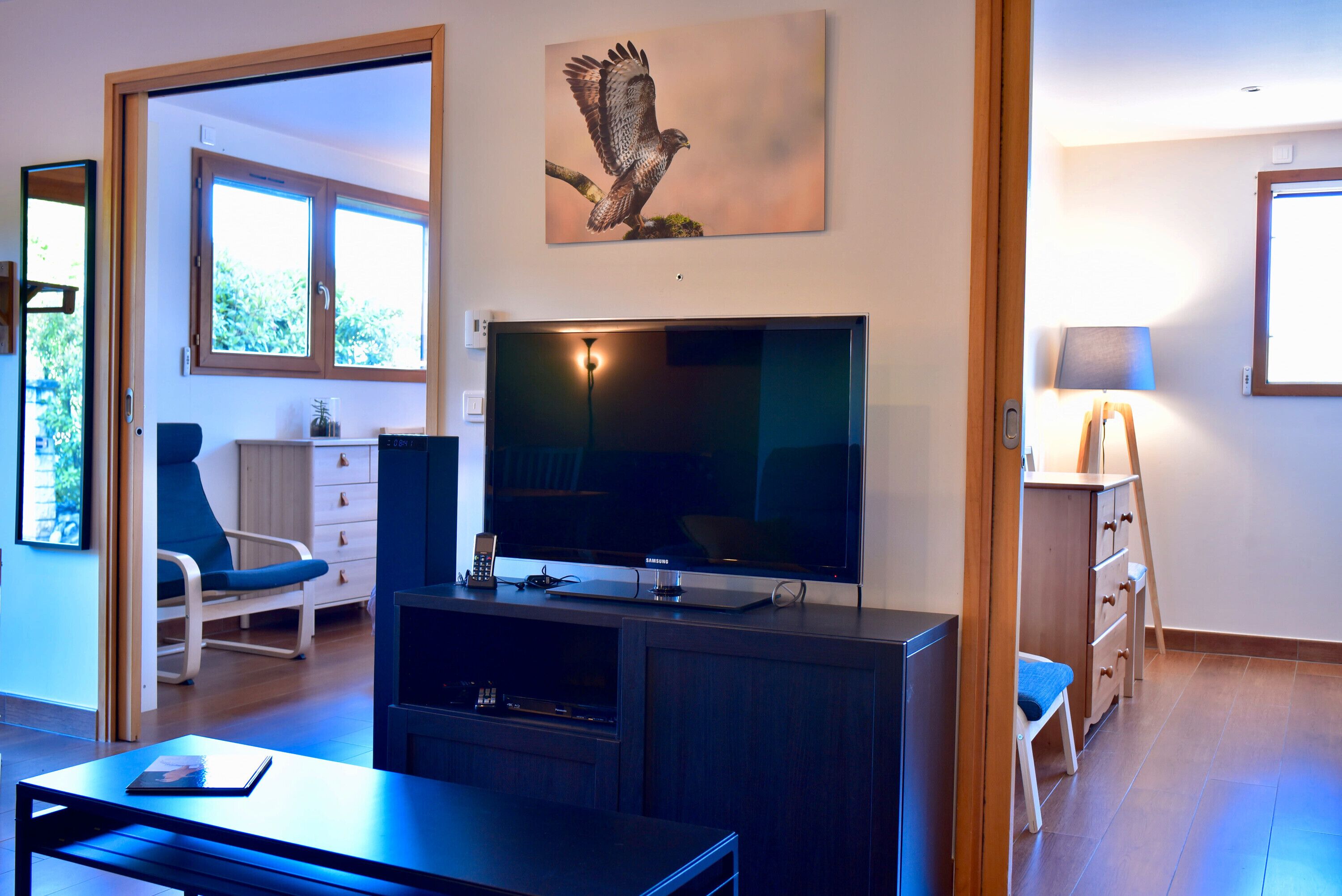 Televisión, reproductor de DVD y estéreo 