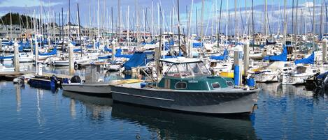 Marina