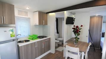 Deluxe Mobile Home | Living area | 24-inch flat-screen TV with satellite channels, ping pong