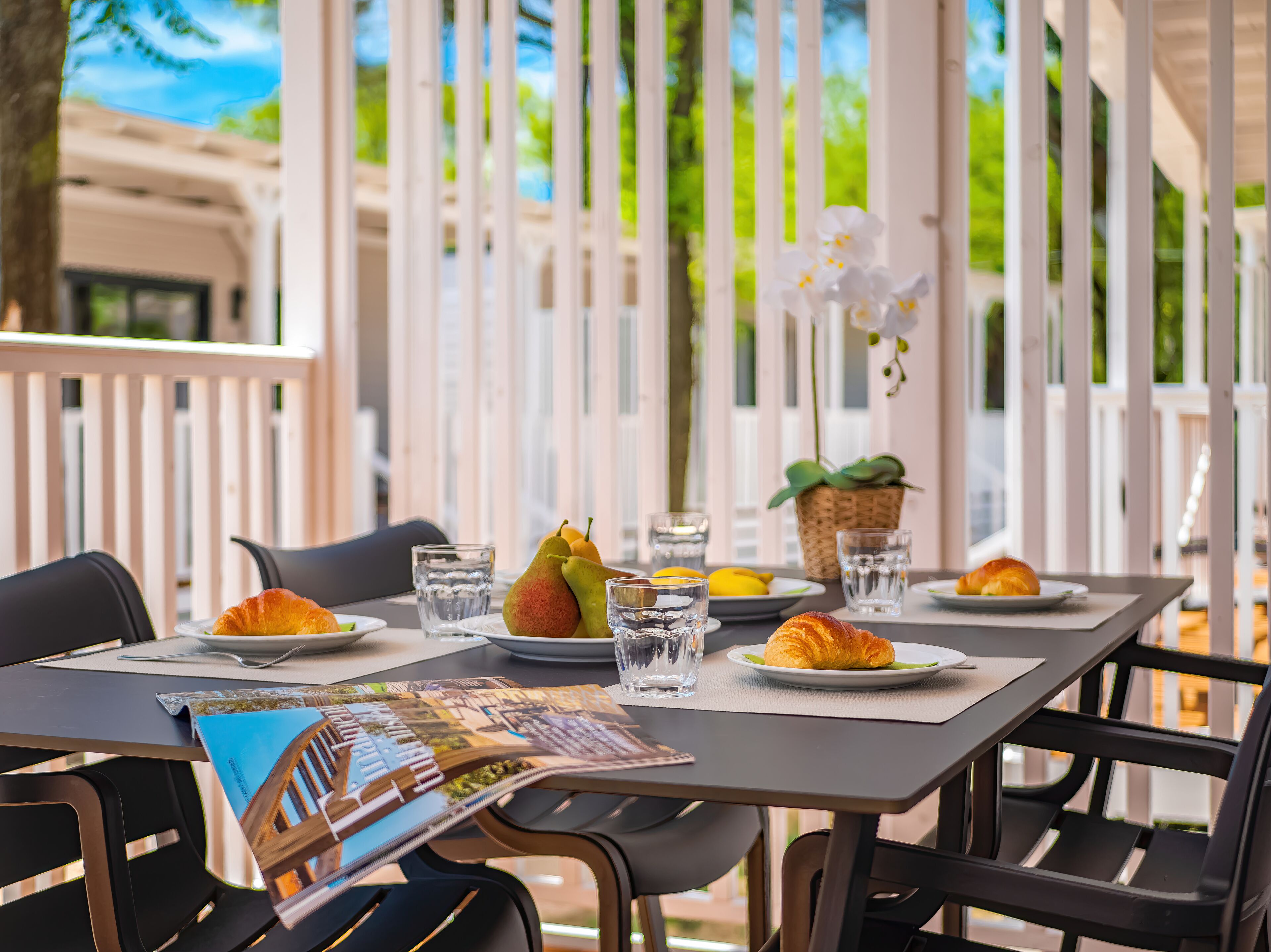 高級行動屋 | 露台/庭院