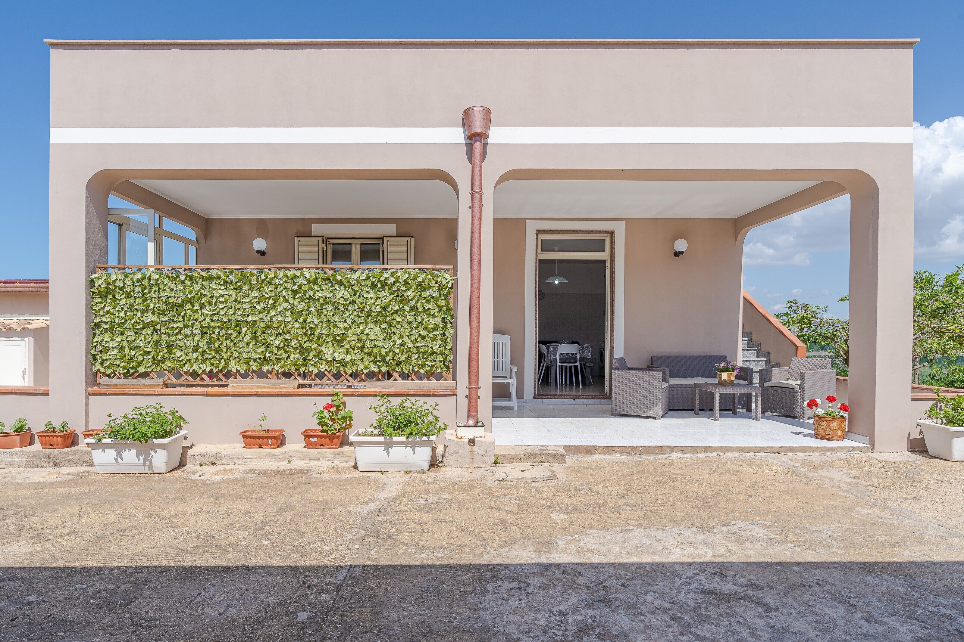 テラス / パティオ