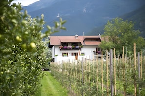 A house with a garden, a fence, and mountains in the background.