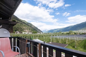 A balcony with a view of a vineyard and mountains.