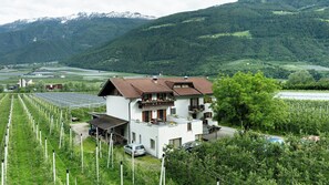 Exterior - Apartment 'Pink Lady' with Mountain View, Shared Terrace and Wi-Fi (Ciardes)