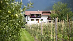Une maison avec un jardin, une clôture et des montagnes en arrière-plan.