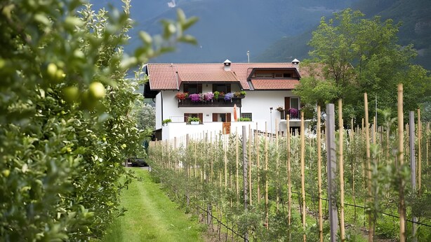 Une maison avec un jardin, une clôture et des montagnes en arrière-plan.