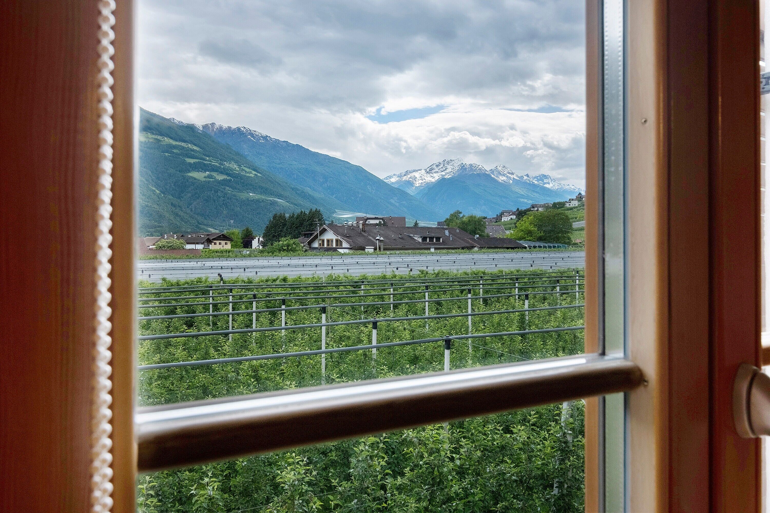 A window view of a vineyard with mountains in the background.